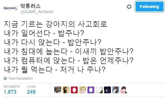 강아지가 나만 바라보는 이유.jpg | 인스티즈