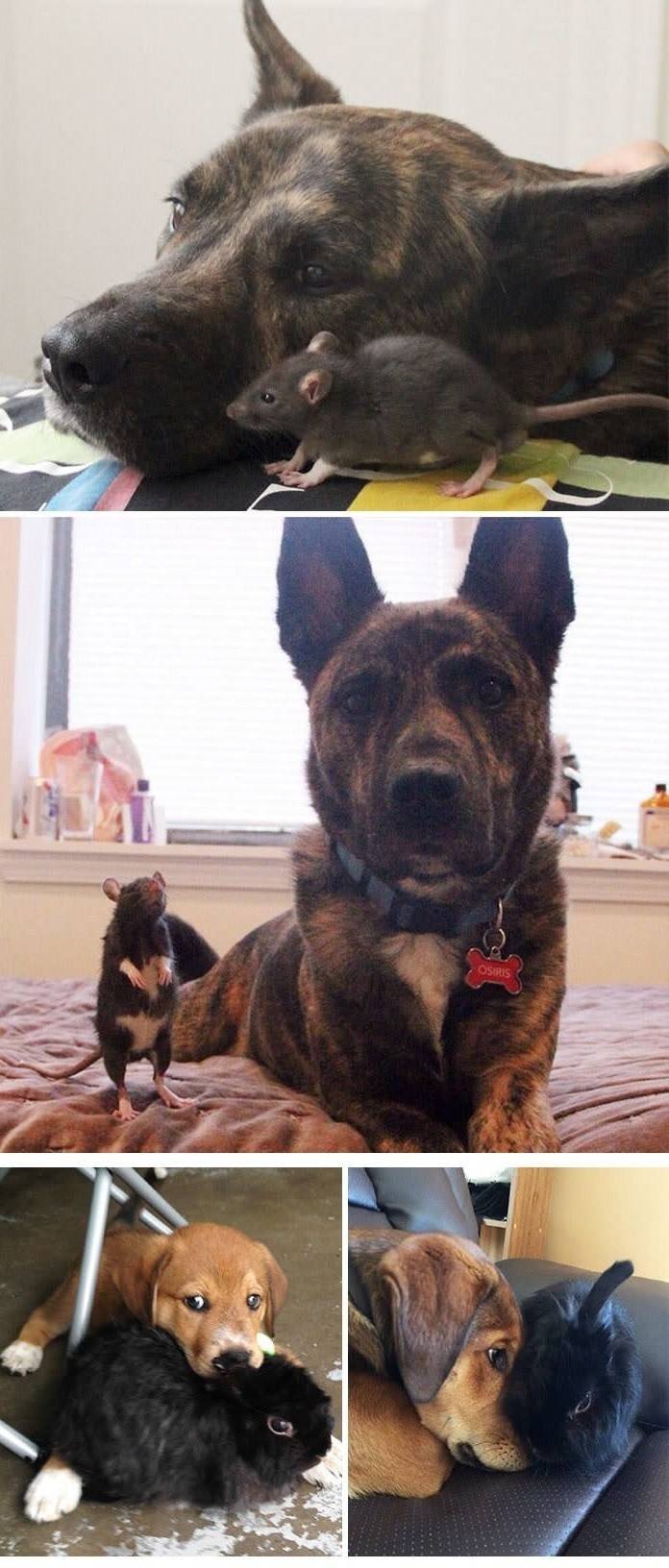 이렇게 변했냥? | 인스티즈