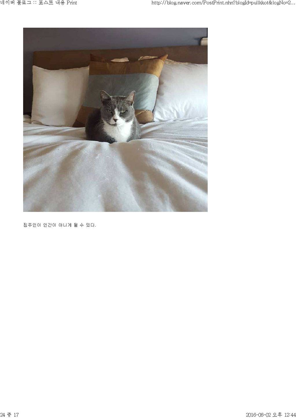 고양이와 함께 산다는것 | 인스티즈