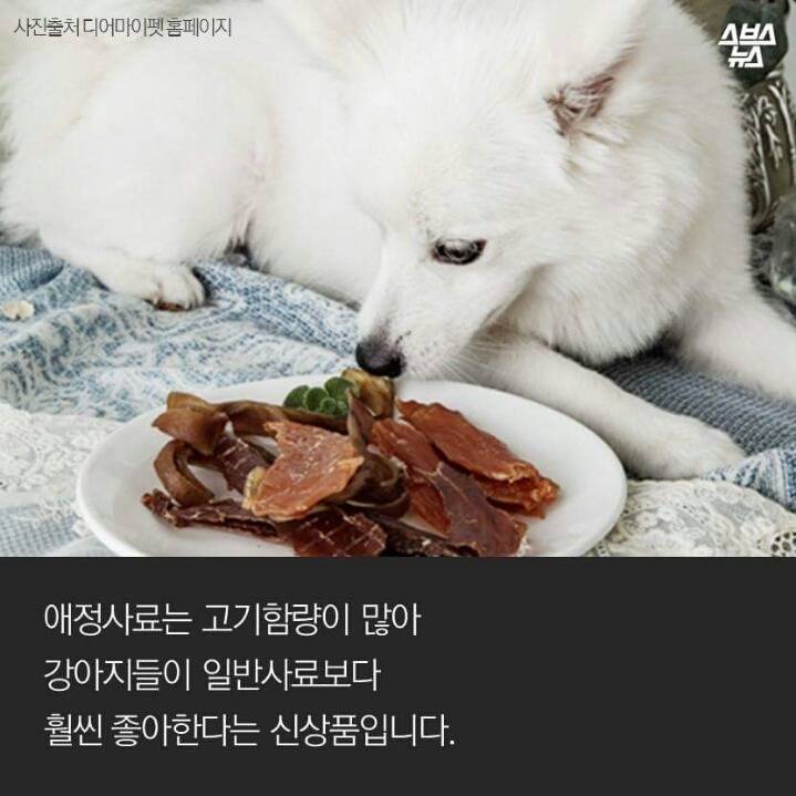 애정이 독이 된 사료 | 인스티즈