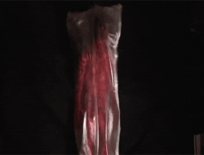 유령의집 기계장치.GIF (놀람주의) | 인스티즈