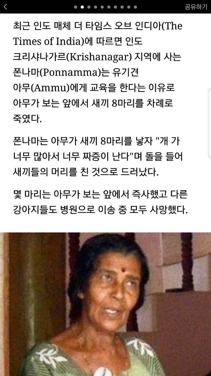 어미견 보는 앞에서 새끼들 차례로 죽인 XXX | 인스티즈