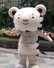 &#65308;댄스머신&#65310; 수요일엔 수호랑 | 인스티즈