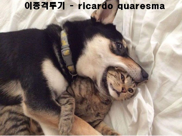 영화 같은 교통사고 - GIF | 인스티즈