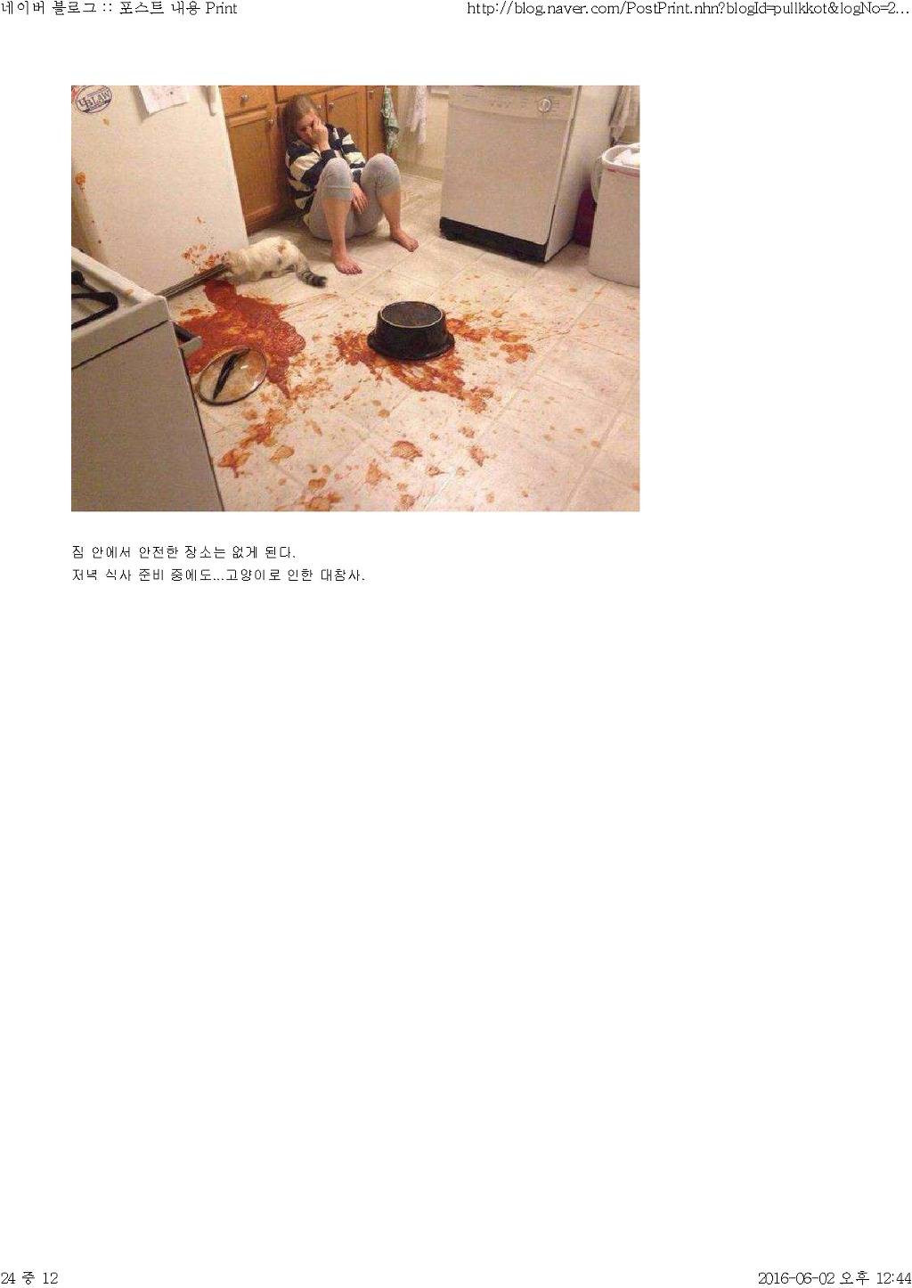 고양이와 함께 산다는것 | 인스티즈