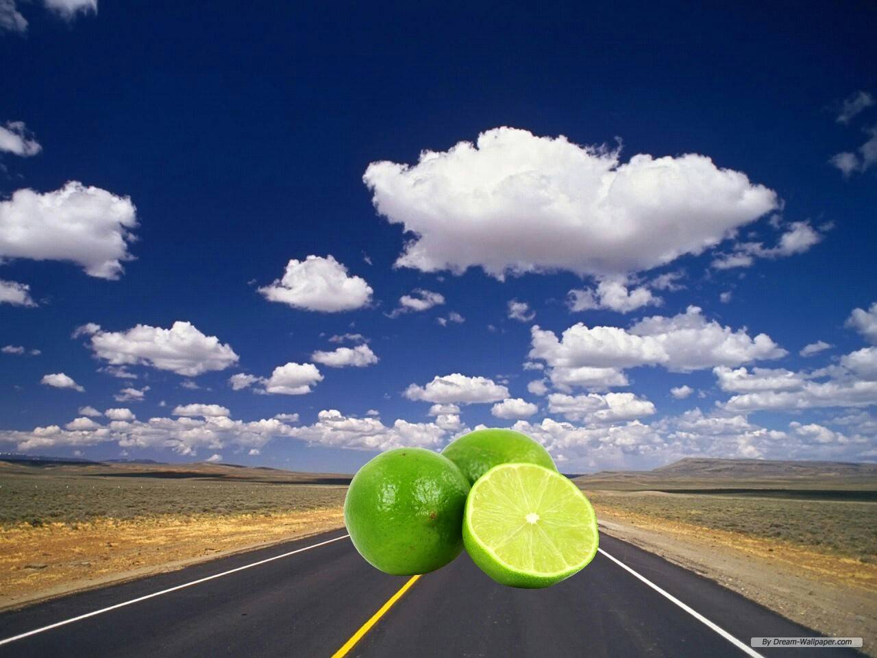 Quiz이중 길라임이 아닌것은? | 인스티즈