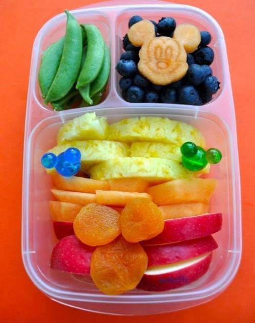 다이어터의 도시락 | 인스티즈