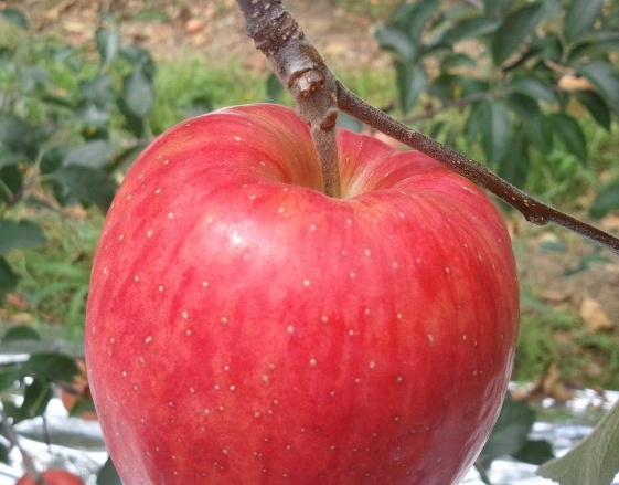 둘 중 더 짜증나는 친구는? | 인스티즈