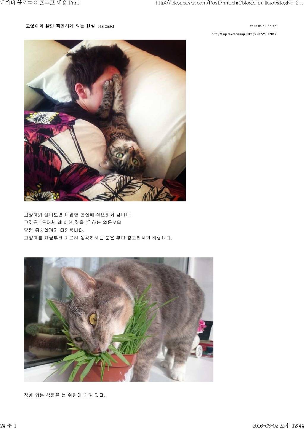 고양이와 함께 산다는것 | 인스티즈