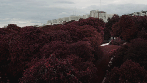  너와의 이별은 도무지 이 별의 일이 아닌 것 같다 | 인스티즈