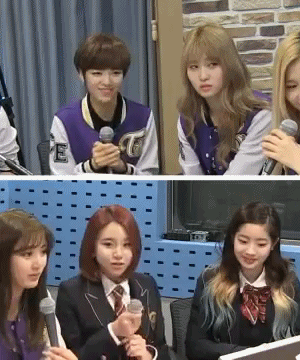 [트와이스] 그들만의 세계.gif | 인스티즈