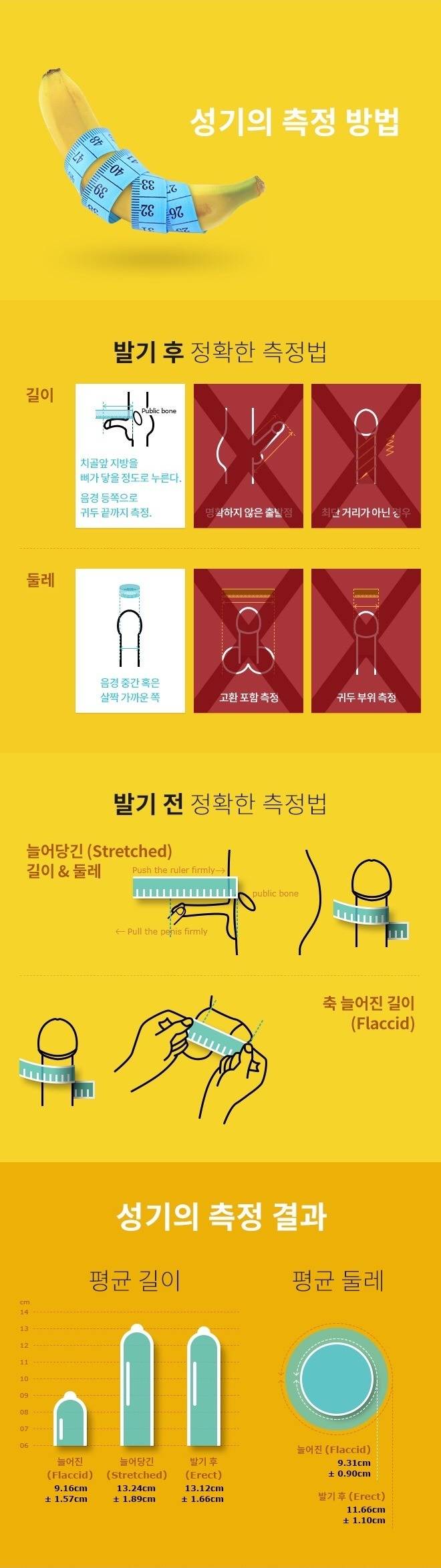 성기 측정하는 방법.......... | 인스티즈