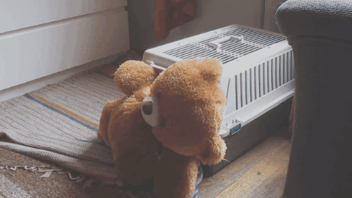 무시무시한 납치견 | 인스티즈