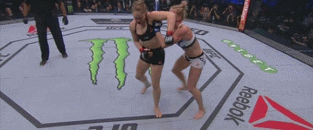 이제 ㄹㅇ 빅재미.jpg | 인스티즈