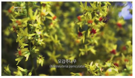 바다를 여행하는 씨앗 | 인스티즈