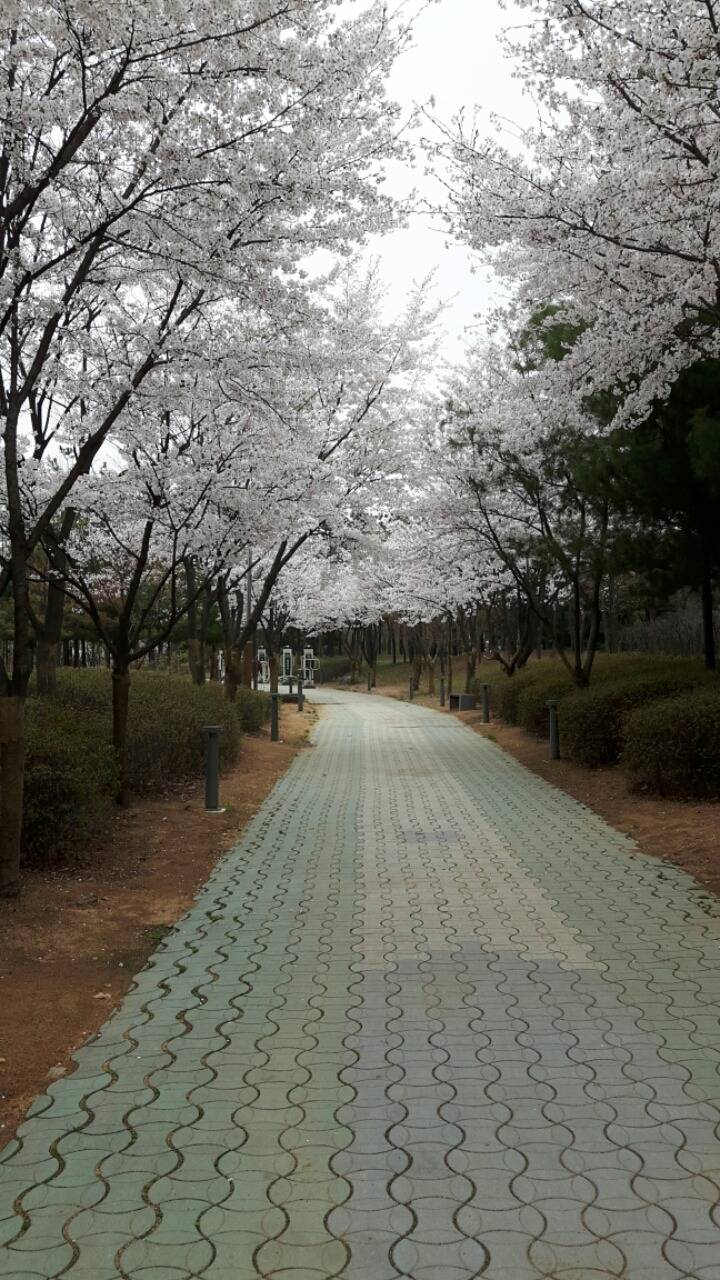 ??? : 나 안 보고 싶었어? | 인스티즈