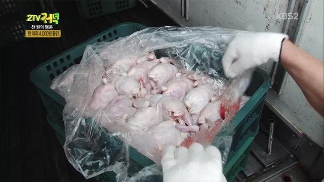 한마리 4000원 치킨.jpg | 인스티즈