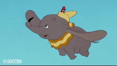 생각보다 많은 여자들이 좋아하는 동물 | 인스티즈