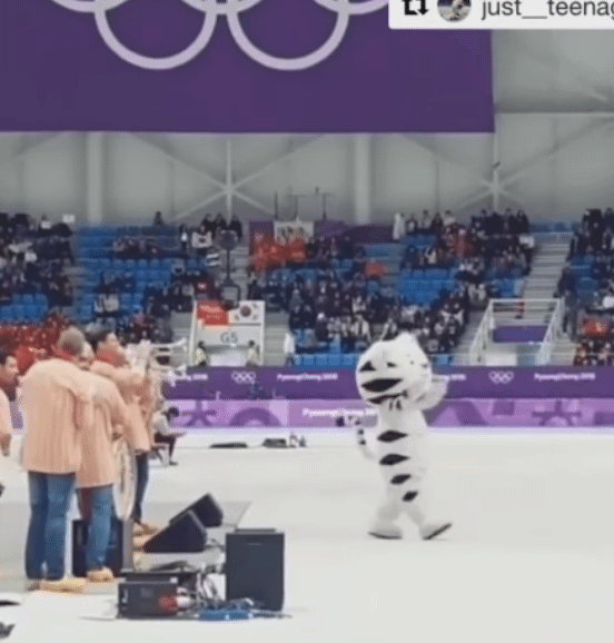 &#65308;댄스머신&#65310; 수요일엔 수호랑 | 인스티즈