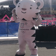 &#65308;댄스머신&#65310; 수요일엔 수호랑 | 인스티즈