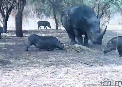 쥬라기 공원에서 어쩌면 초식공룡이 더 위험할지도 모르는 이유 (혐오주의) | 인스티즈