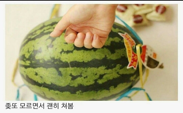 수박 고를때 공감 | 인스티즈