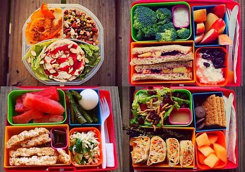 다이어터의 도시락 | 인스티즈