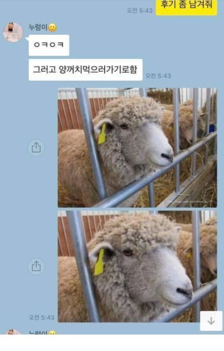 친구가 다이어트 도우미 | 인스티즈