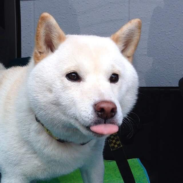 너 이거 돼? | 인스티즈