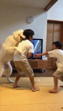 싸우지 말라고.gif | 인스티즈