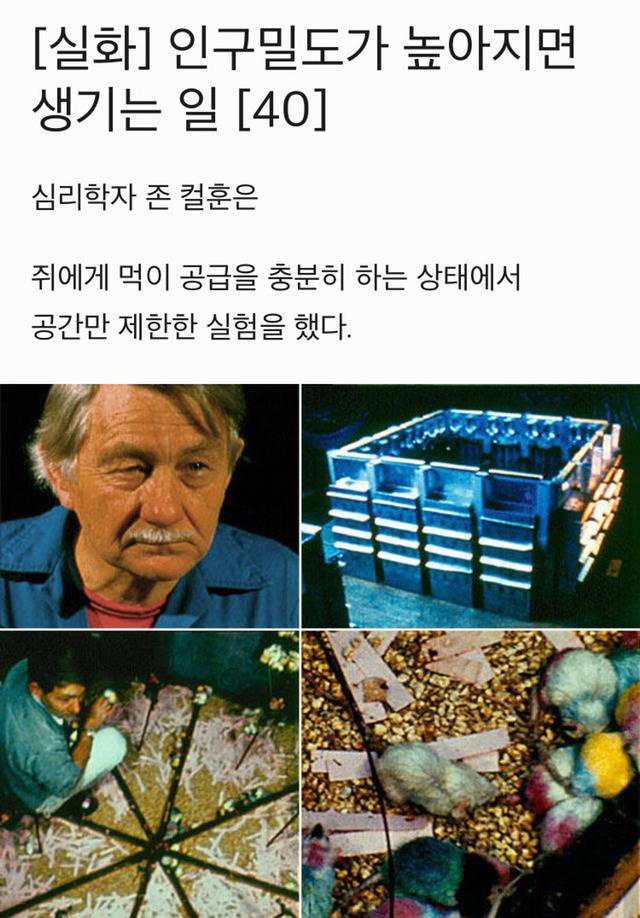 인구 밀도가 높아지면 생기는 일 | 인스티즈