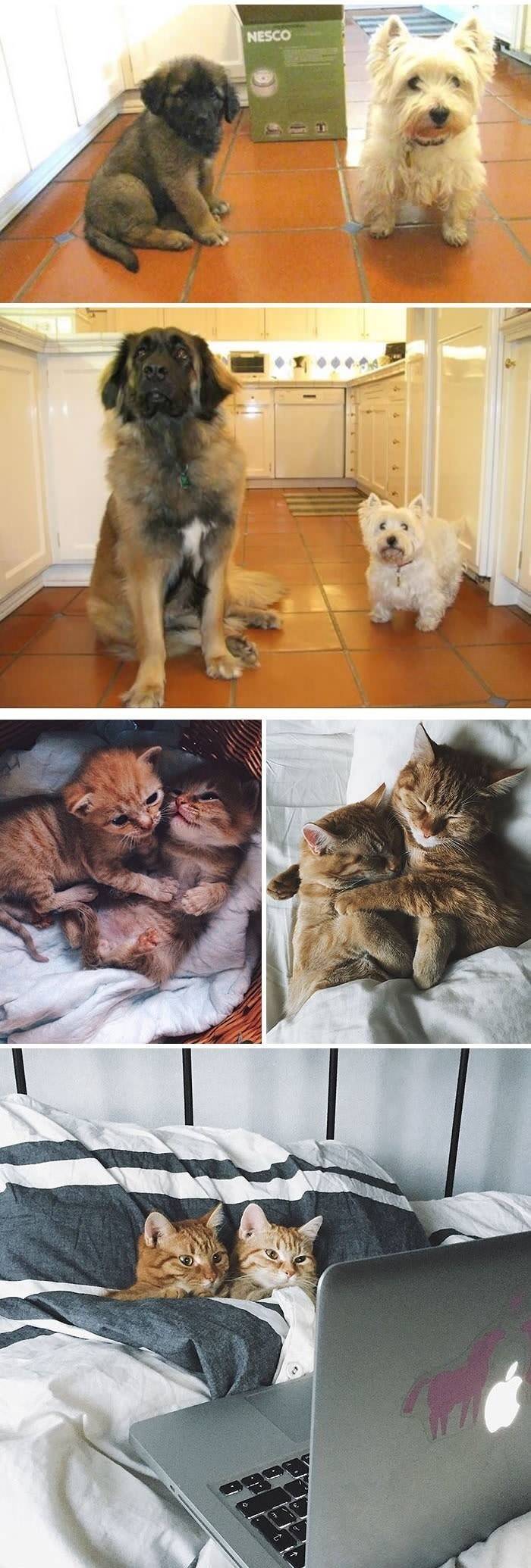 이렇게 변했냥? | 인스티즈