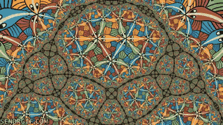 어디서 견수작이여! | 인스티즈