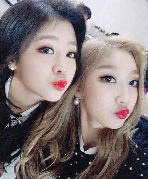 러블리즈 쌍둥이 | 인스티즈