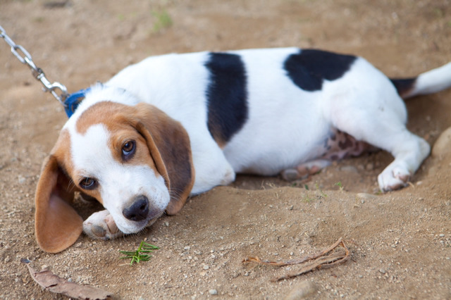 이런 사람은 피해야 한다.JPG | 인스티즈
