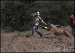 나 잡아 봐라~.gif | 인스티즈