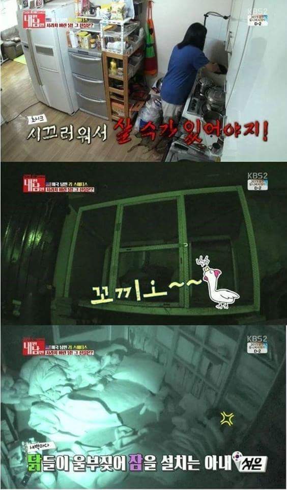 남편이 키운 닭 잡아먹은 아내 | 인스티즈