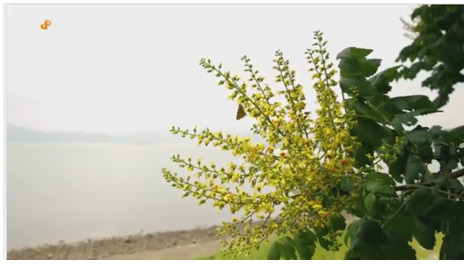 바다를 여행하는 씨앗 | 인스티즈