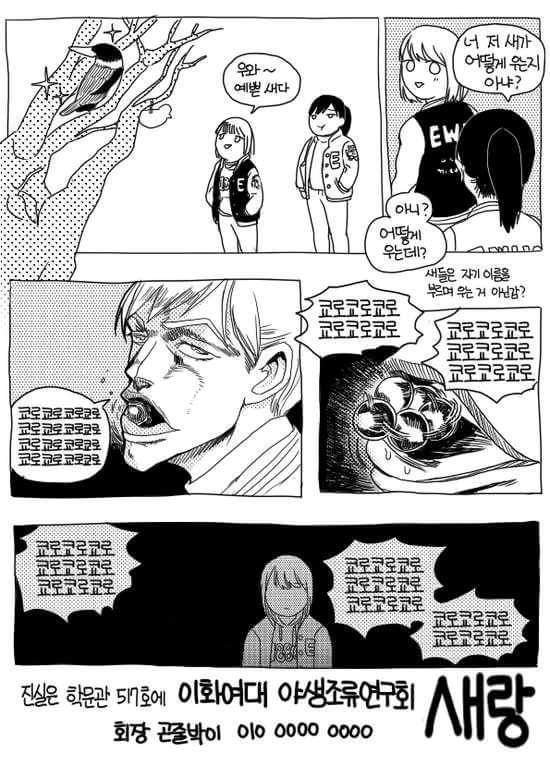 이대 야생조류 연구회 홍보지.jpg | 인스티즈