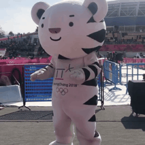 &#65308;댄스머신&#65310; 수요일엔 수호랑 | 인스티즈