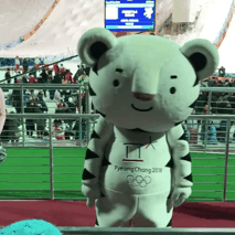 &#65308;댄스머신&#65310; 수요일엔 수호랑 | 인스티즈