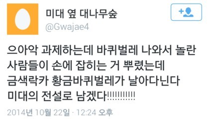 퀴디치 의 시작 | 인스티즈