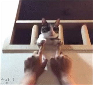 집사와 솜방맹이 | 인스티즈