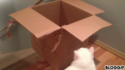 뜻하지않은 우다다 | 인스티즈