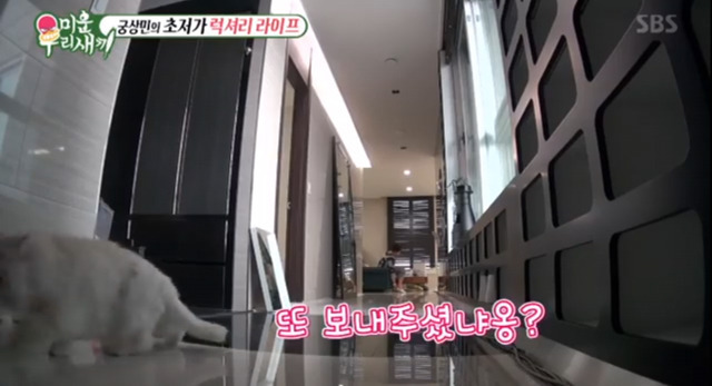 이상민한테 채권자가 보약을 보내왔다 | 인스티즈