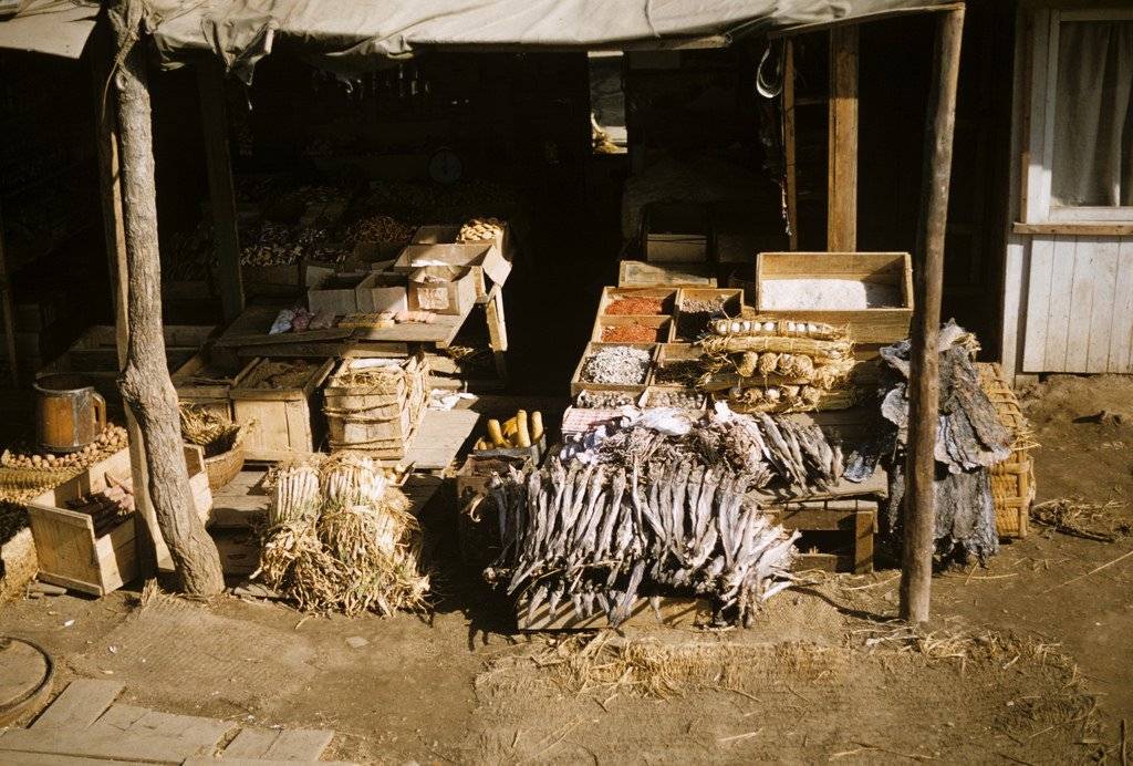 1952년도의 한국 | 인스티즈