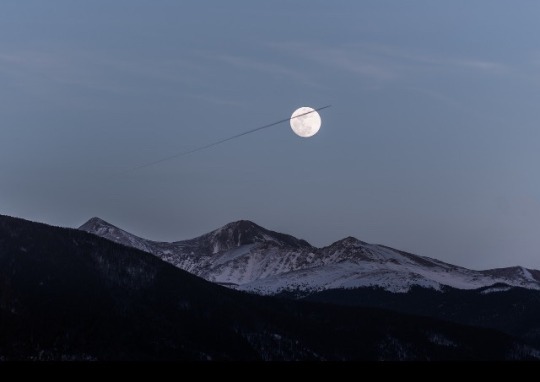  선택의 문제일 뿐이다 | 인스티즈