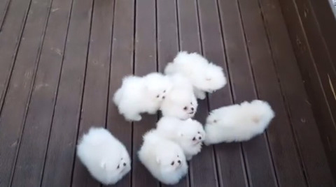 누가 면봉 솜만 다 빼놨냐; | 인스티즈