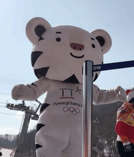 &#65308;댄스머신&#65310; 수요일엔 수호랑 | 인스티즈