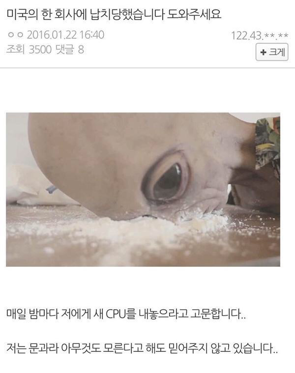 허언갤 베스트 | 인스티즈